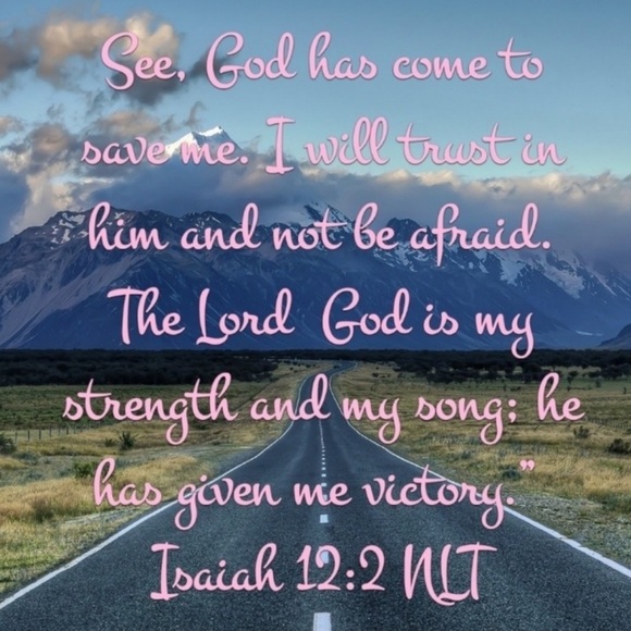 HOODIE UNISEX Heidelberg, Germany - Picture 14 of 16